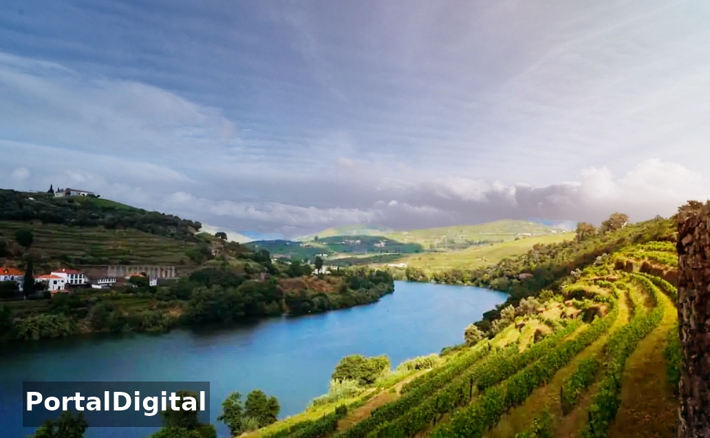 Trilho do Vinho do Porto